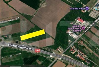 Teren de 6500 mp, în Lazuri