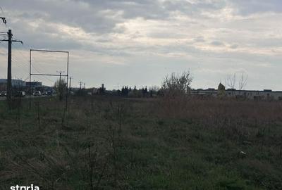 Teren de 26112 mp, în Ernei - 5