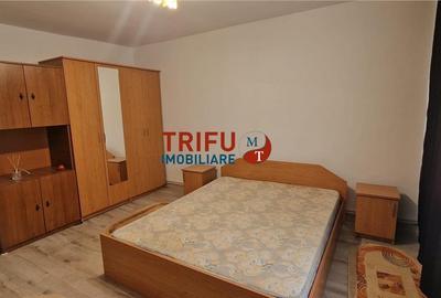 Garsonieră decomandată, mobilată în Cetate - 2