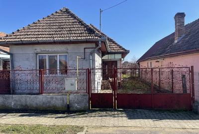 Casă cu 2 camere în Central - 1