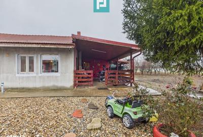 Casă cu 4 camere în Sintea Mică - 17