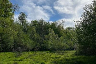 Casă cu Teren 20000 Mp în Vârfurile - 3