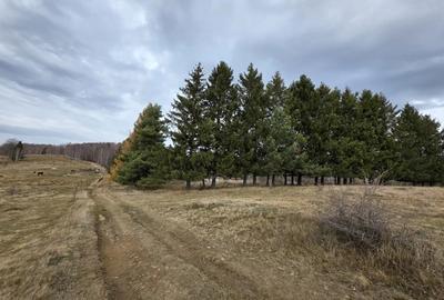 Teren de 4290 mp, în Gărâna - 4