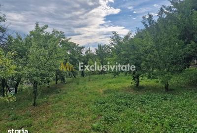 Teren de 1400 mp, în Albota