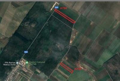 Teren Construcții extravilan de 10000 mp, în Afumați - 1