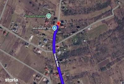 Teren de 1000 mp, în Copou