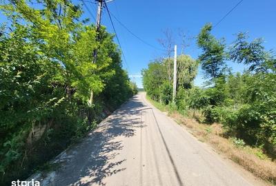 Teren de 771 mp, în Ciurea