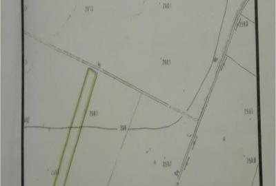 Teren de 12490 mp, în Catane - 2