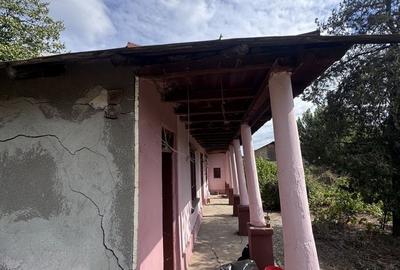 Casă cu 4 camere în Copaciu