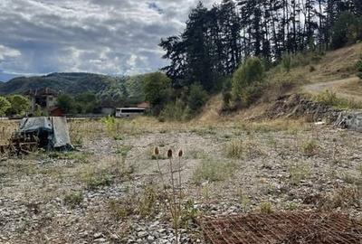 Teren de 2500 mp, în Bratca