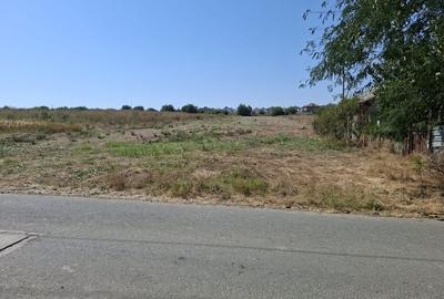 Teren Construcții intravilan de 891 mp, în Valu lui Traian - 2