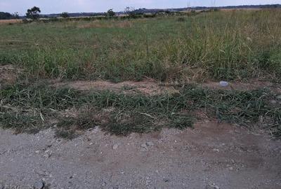 Teren de 600 mp, în Salcia