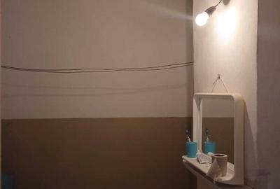 Apartament cu 2 camere decomandat în Bala - 7