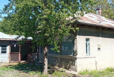 Casă cu 3 camere cu Teren 2588 Mp în Suhaia - 2