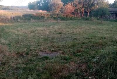 Casă cu 5 camere cu Teren 20142 Mp în Gladna Română - 1