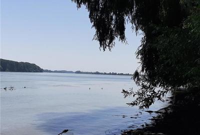 Teren în Mahmudia - 4