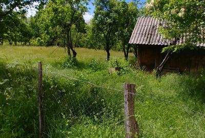 Teren de 7000 mp, în Tănăsești - 9