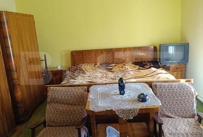 Casă cu 7 camere cu Teren 1126 Mp în Iosefin