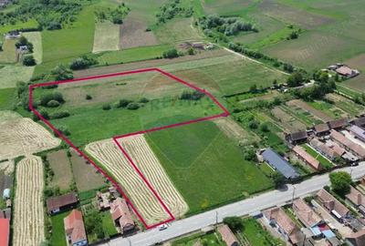 Teren de 15360 mp, în Blăjel - 10