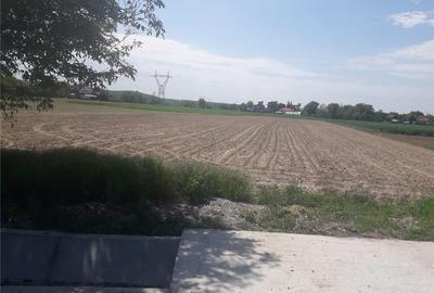 Teren de 5013 mp, în Galicea