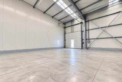 Spațiu industrial, de 440 mp, în Șagului