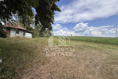 Teren de 7492 mp, în Fornădia