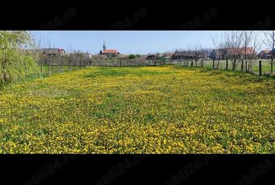 Casă cu 4 camere cu Teren 1781 Mp în Checea - 6