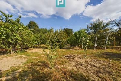 Casă individuală cu 6 camere cu Teren 2877 Mp în Central - 17