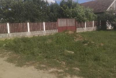 Casă cu 4 camere în Sânmartin