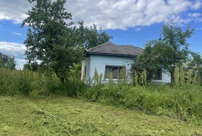 Casă cu 2 camere în Dobroteasa - 4