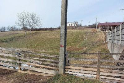 Teren de 1305 mp, în Valea Crișului - 4