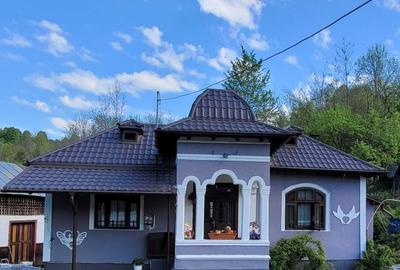 Casă cu 3 camere în Cosminele - 5