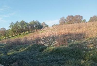 Teren agricol intravilan de 12614 mp, în Ghirolt - 1