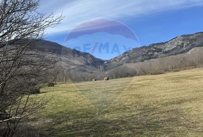Teren Construcții intravilan de 1271 mp, în Izvoarele (Livezile) - 1