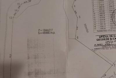 Teren agricol extravilan de 57000 mp, în Lepșa - 14