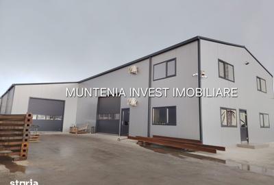 Spațiu comercial, de 480 mp, în Ștefănești - 10
