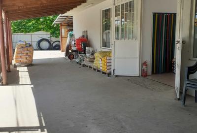 Casă cu 4 camere în Urleasca - 1