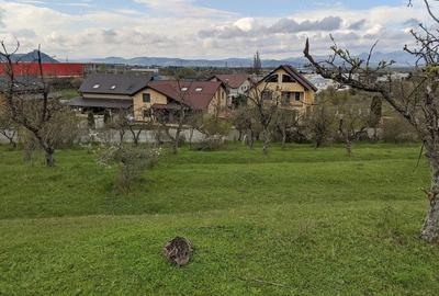 Teren de 10000 mp, în Central