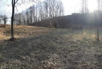 Teren de 4750 mp, în Provița de Sus - 4