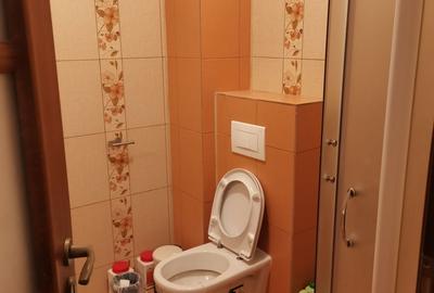 Casă cu 5 camere cu Teren 1000 Mp în Aninoasa - 18