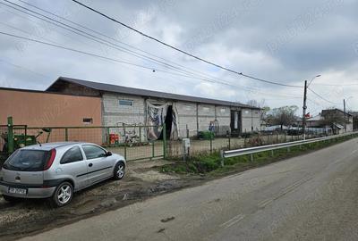 Spațiu comercial, de 770 mp, în Crușovu - 4