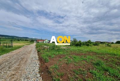 Teren Construcții intravilan de 775 mp, în Micești - 3
