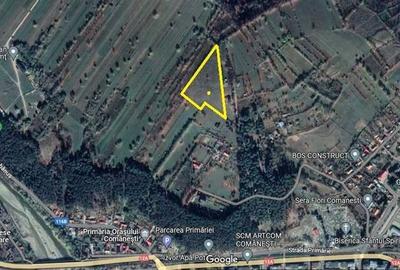 Teren de 13000 mp, în Asău - 4