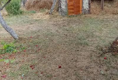 Teren de 1881 mp, în Pojogeni