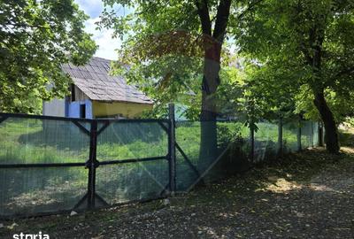 Casă cu 4 camere cu Teren 3686 Mp în Buciumi - 6