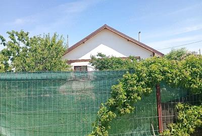Casă cu Teren 500 Mp în Bujoreni