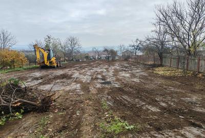 Teren de 1021 mp, în Ciurbești - 3