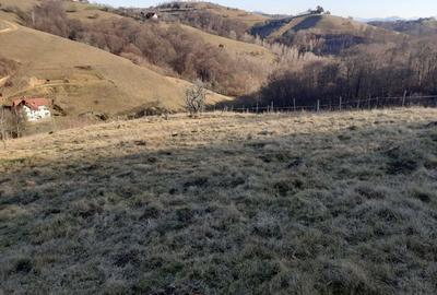 Teren de 12928 mp, în Poiana Mărului - 2