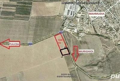 Teren de 1800 mp, în Mahmudia