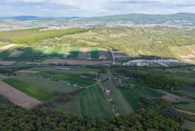 Teren Construcții intravilan de 27000 mp, în Central - 2
